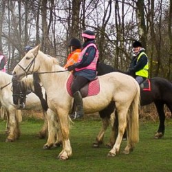 Horse Riding, Llama Trekking, Camel Trekking, Mountain Biking, Extreme Horse Riding, Bike Tours Brighton, Brighton & Hove