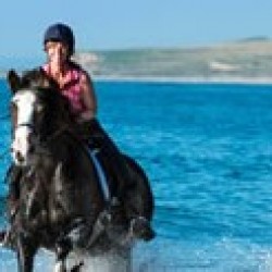 Horse Riding, Llama Trekking, Camel Trekking, Mountain Biking, Extreme Horse Riding, Bike Tours Brighton, Brighton & Hove