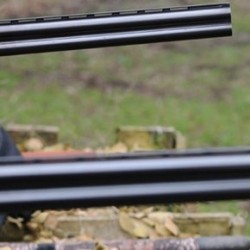 Clay Pigeon Shooting Basingstoke, Hampshire