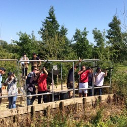 Clay Pigeon Shooting Bicester, Oxfordshire