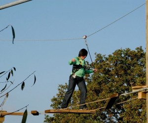High Ropes Course Kendal, Cumbria